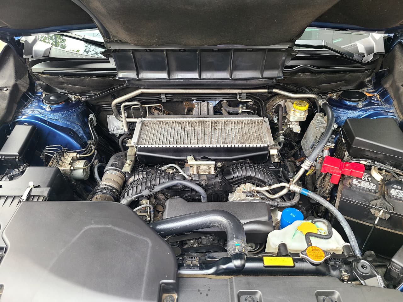 
								EVOLTIS LIMITED TP 2400CC T 8PSJ full									