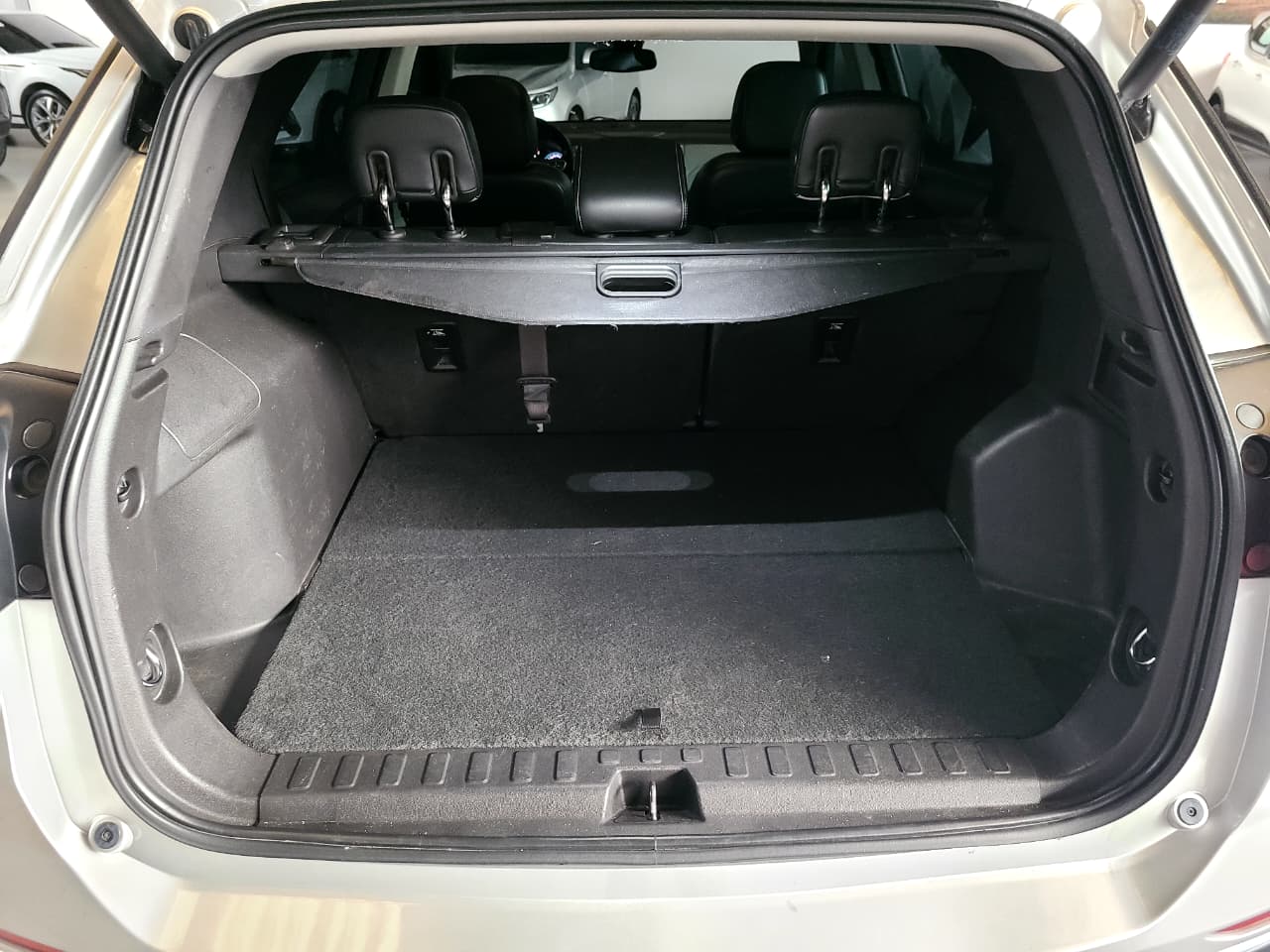 EQUINOX PREMIER TP 1500CC T 4X4 full