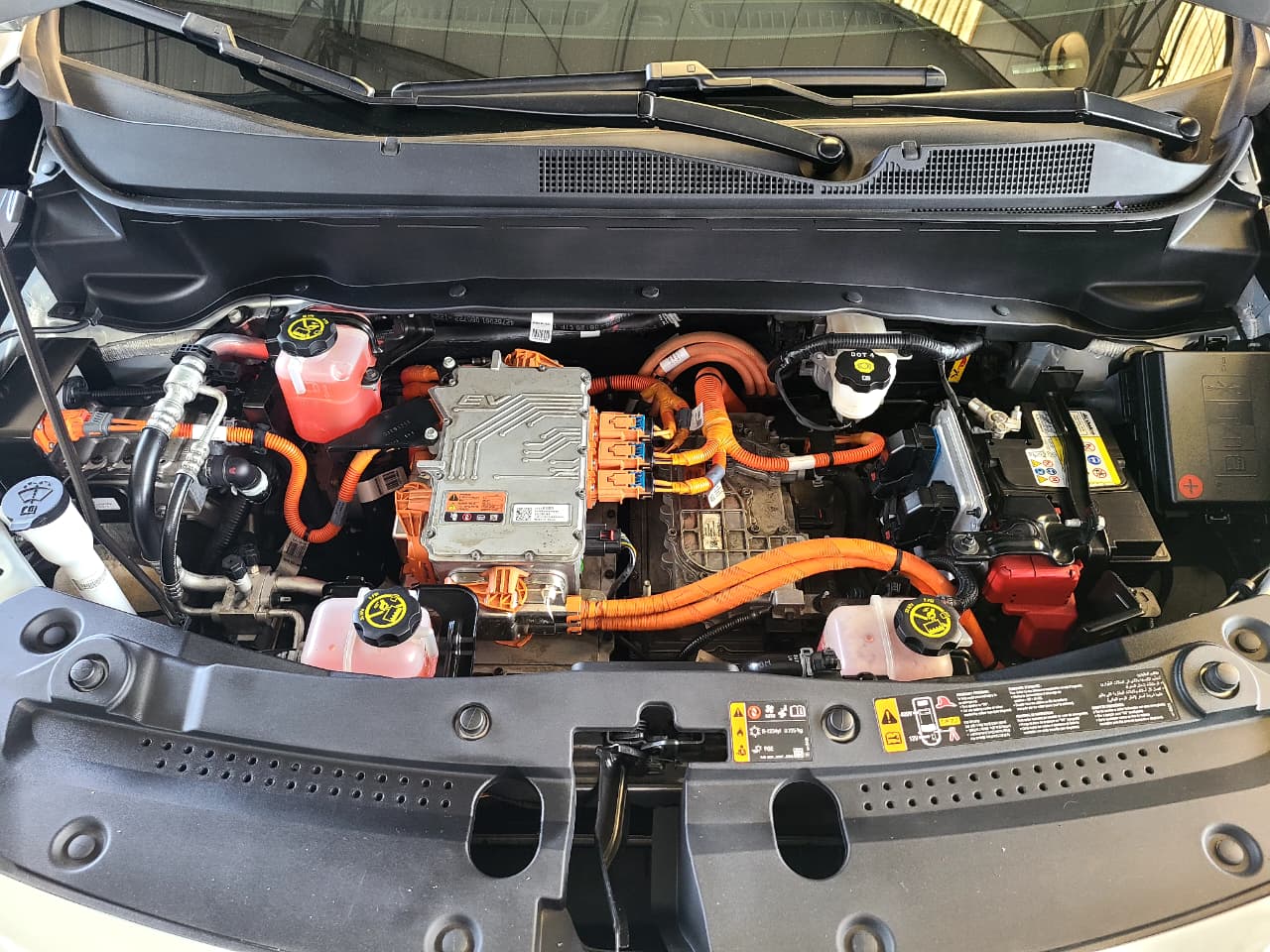 
								BOLT EUV ELECTRICO full									