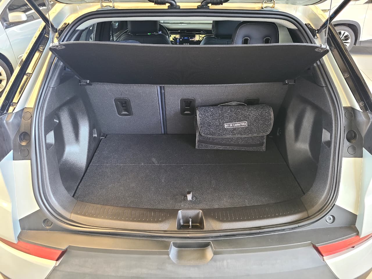 
								BOLT EUV ELECTRICO full									